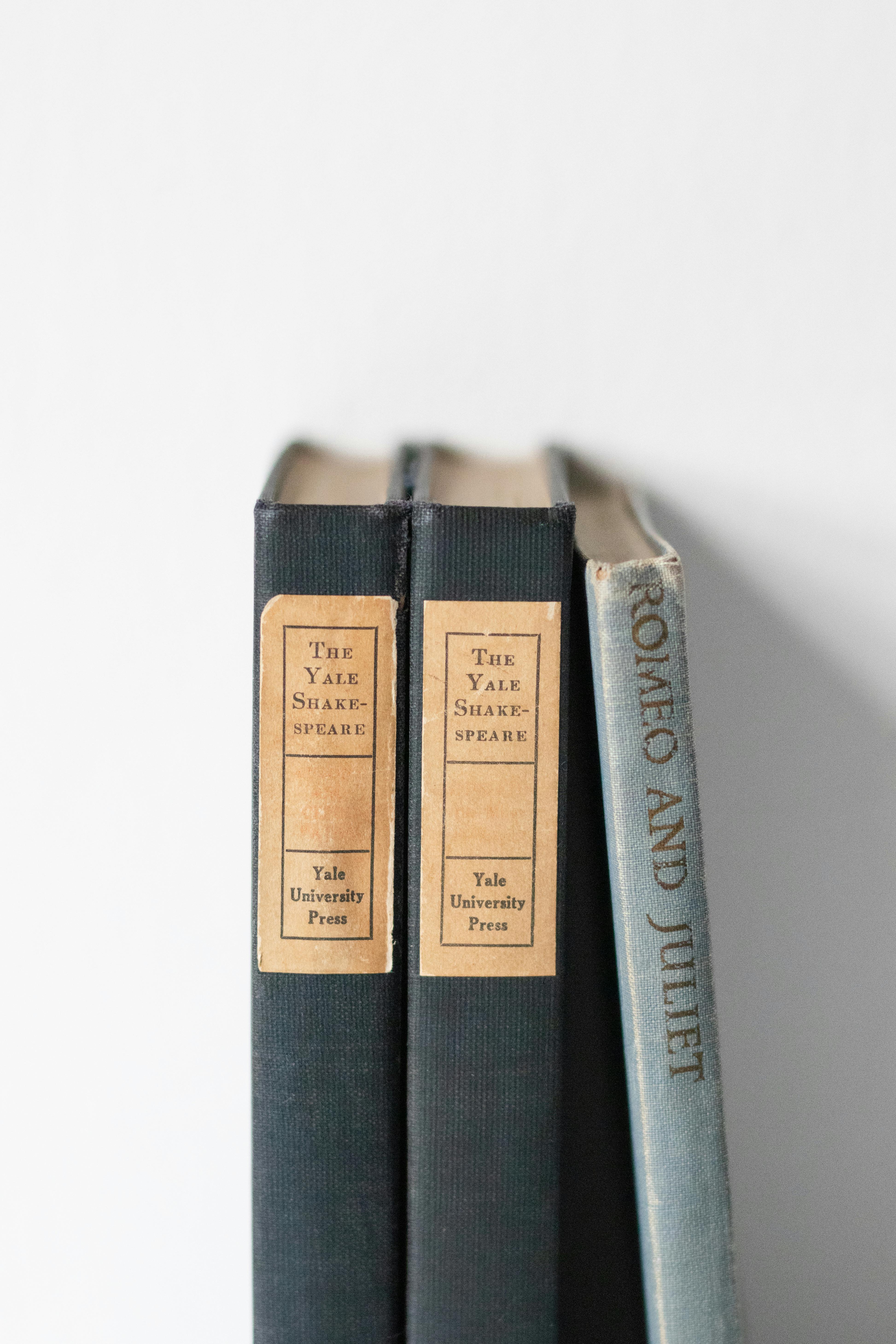 Tiyatronun Altın Kalemi: William Shakespeare
